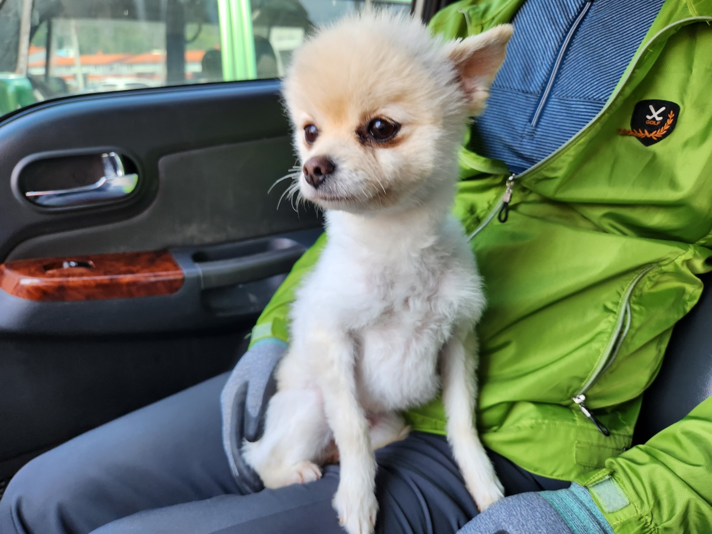 해남유기동물보호센터_446493202300097
